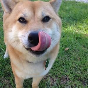 Meet your Posher, Nana